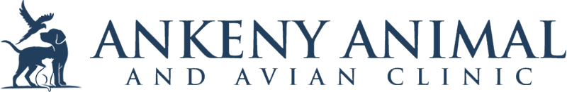 Ankeny Animal & Avian Clinic