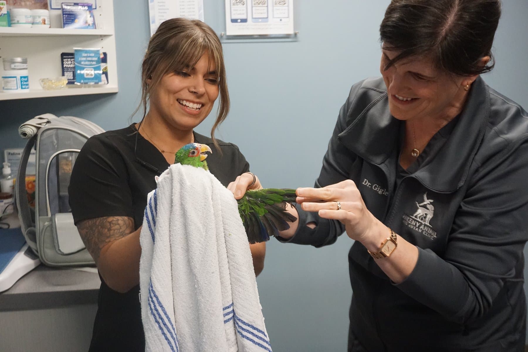 Dr. Amanda Gigler and a technician smiling as they examine a parrot wrapped in a towel