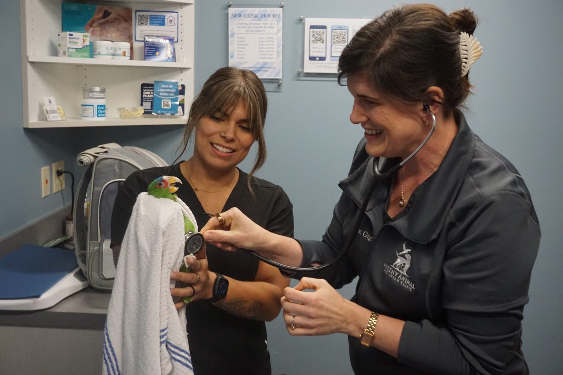 Dr. Gigler listening to a parrot's heart with a stethoscope while a technician holds it