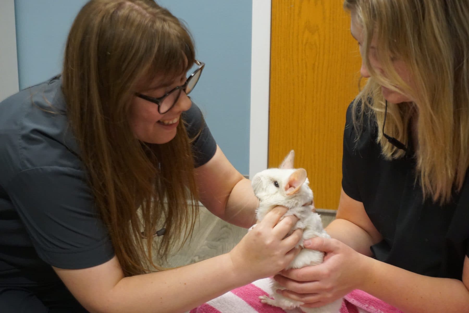 A smiling team member cradling a kitten during a wellness visit