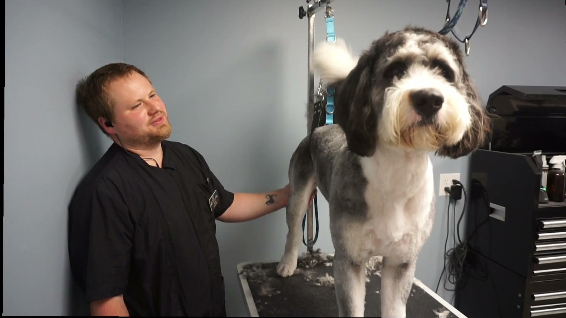 Our Fear Free groomer with a freshly groomed doodle in the on-site grooming salon