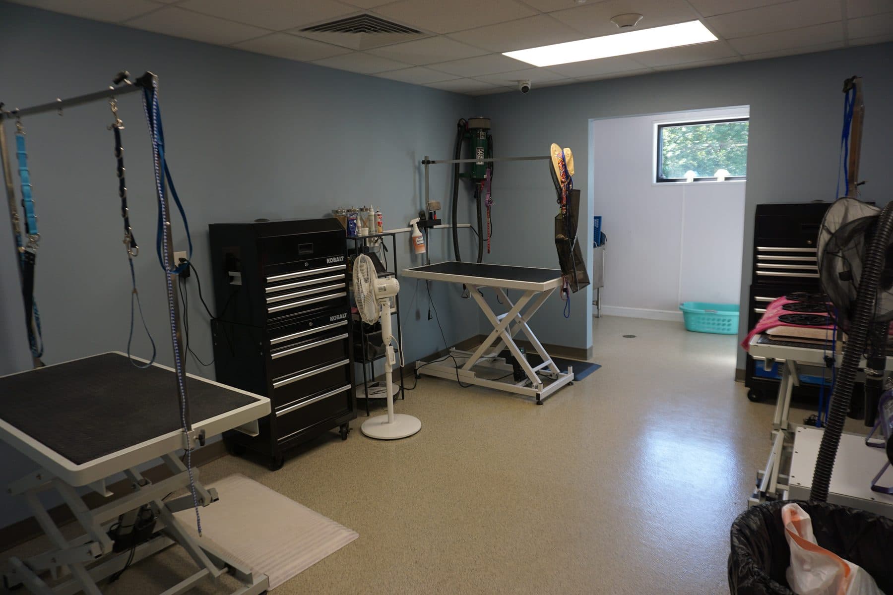 The clinic's grooming salon with a walk-in tub