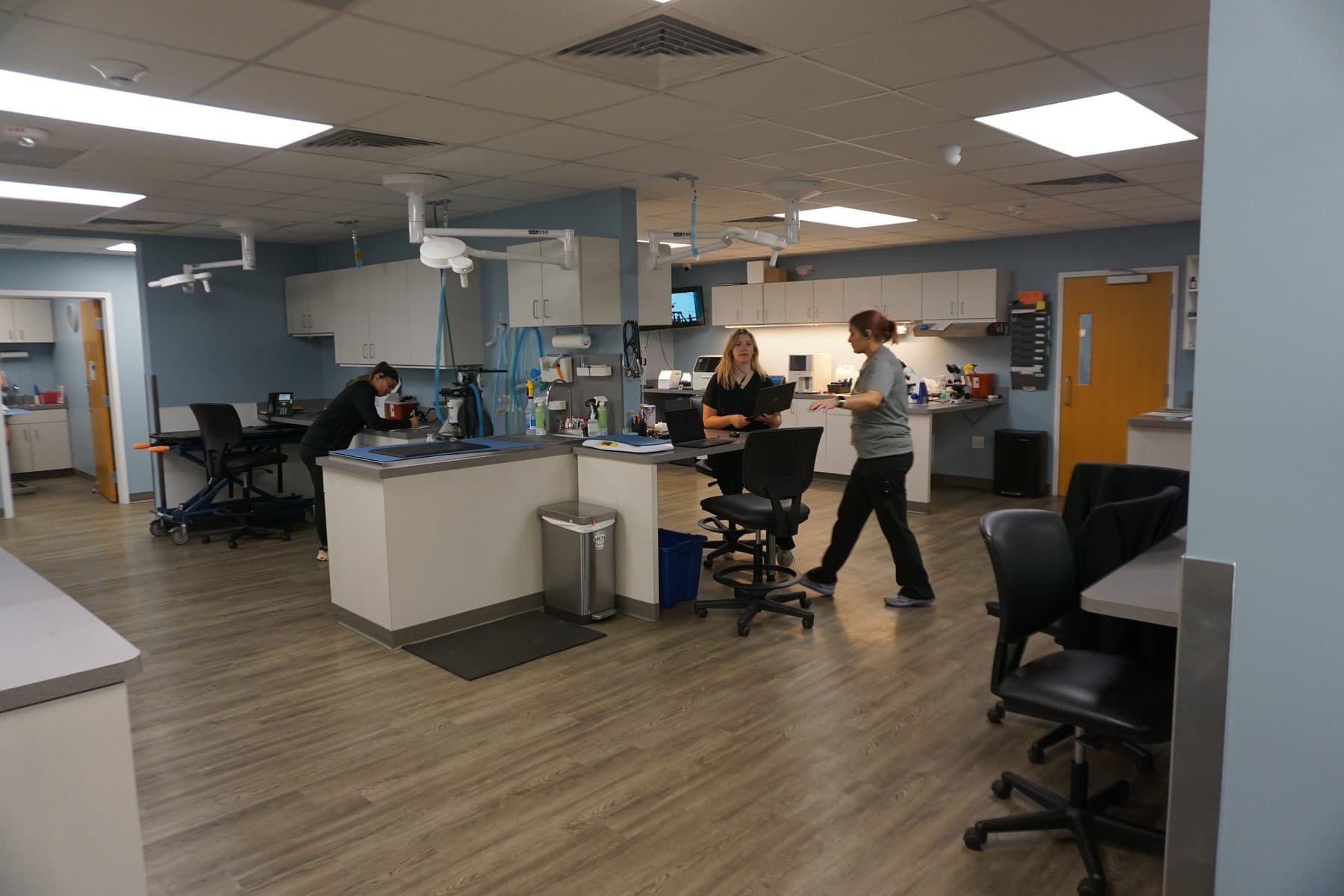 The clinic's open treatment area where the team works together
